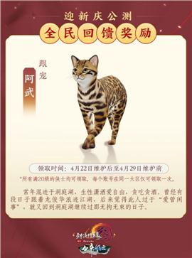 无赦降魔天龙八部私服